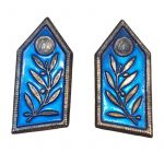 metallikes-dafnes-petou-astunomias-e1702026328519.jpg