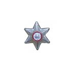 metalliko-asteri-katoteron-aksiomatikon-purosvestikis.jpg