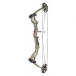 COMPOUND-BOW-75LBS.jpg