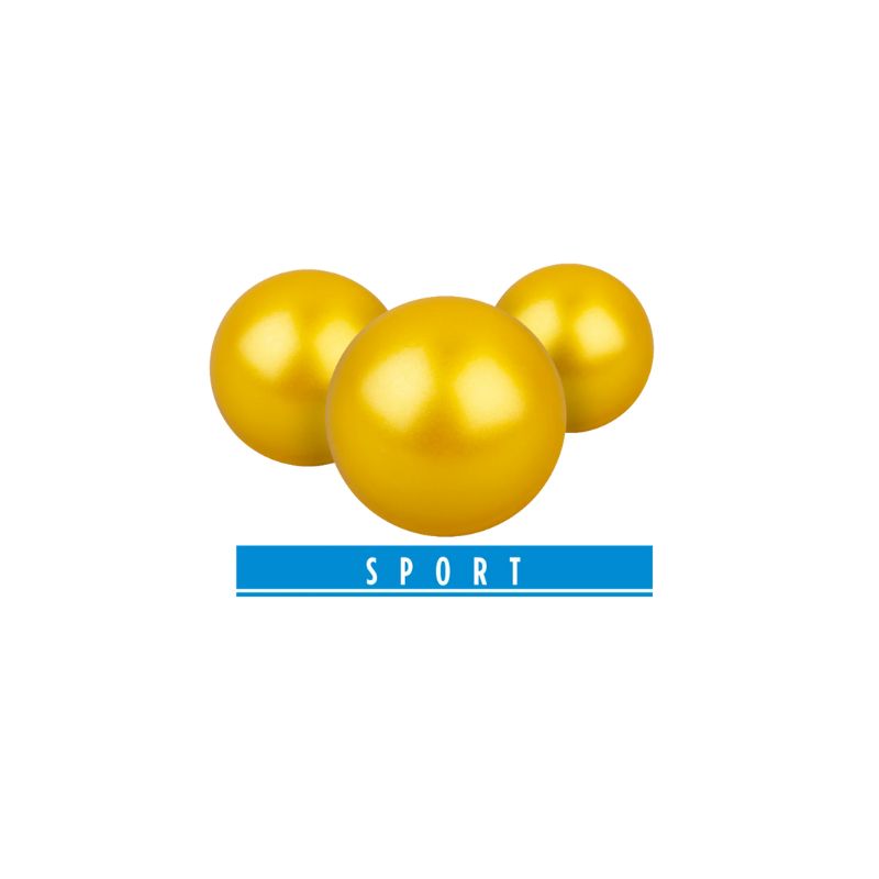 vlhmata-t4e-umarex-rubber-marking-powerballs-cal50-yellow-500-tmx-2-4481