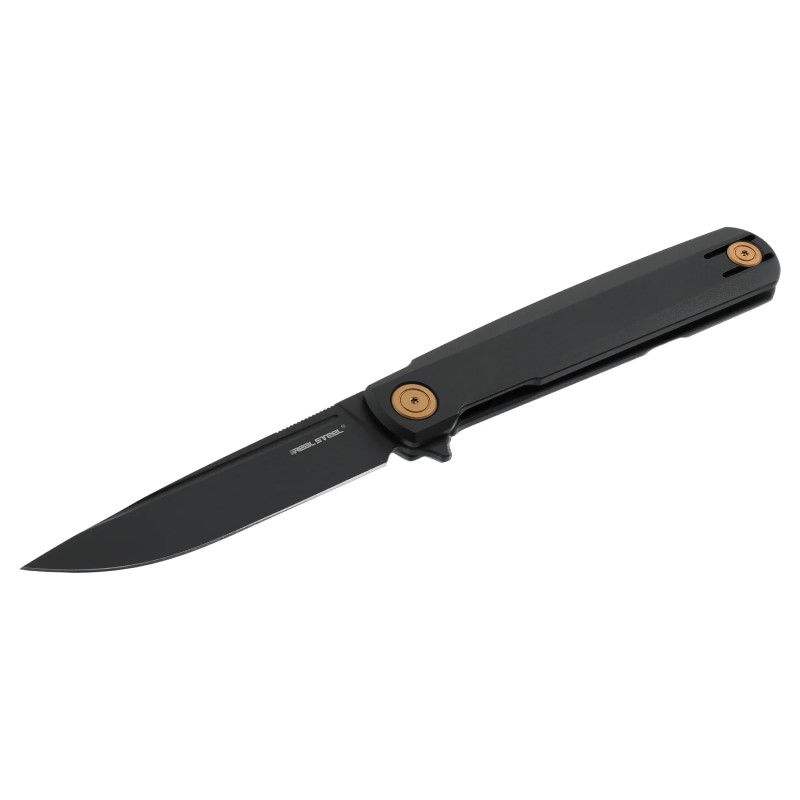 sougias-real-steel-g-frame-black-gold-5-0236.jpg