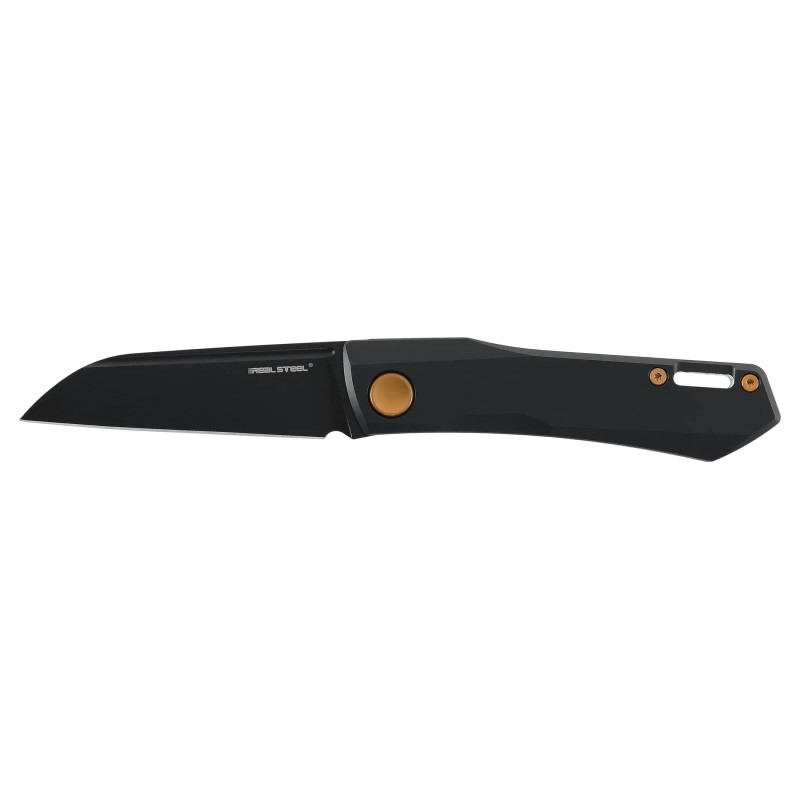 sougias-real-steel-solis-titanium-black-gold-5-0231-2.jpg