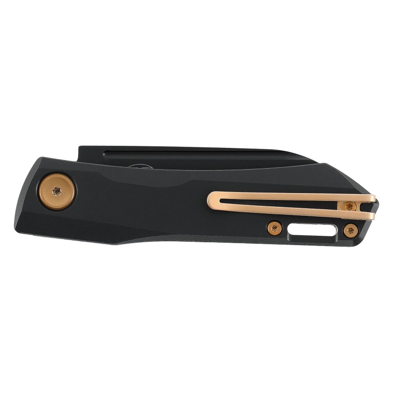 sougias-real-steel-solis-titanium-black-gold-5-0231-3.jpg
